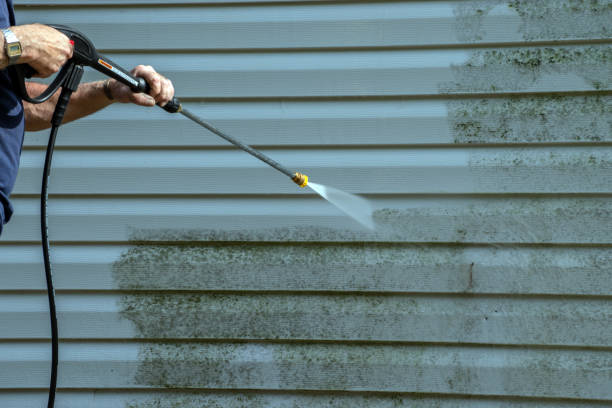 Best Roof Power Washing Services  in St David, AZ