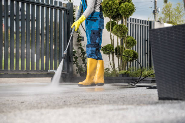 Best Pressure Washing Company Near Me  in St David, AZ