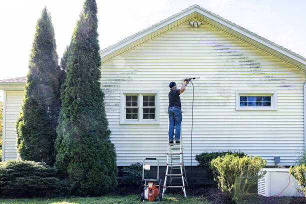 Best Residential Pressure Washing Services  in St David, AZ