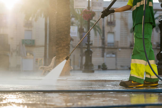Best Residential Pressure Washing Services  in St David, AZ