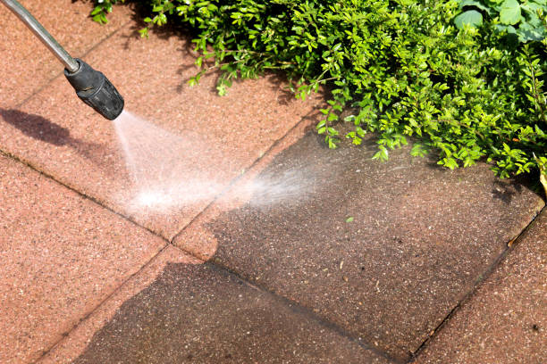 Fence Pressure Washing in St David, AZ
